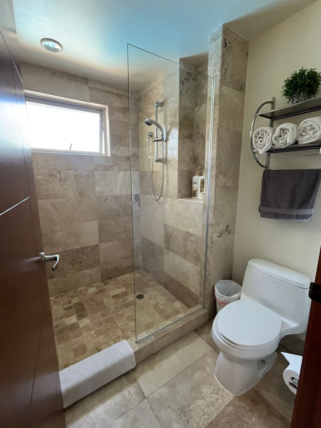 A bathroom with a glass-enclosed shower, a toilet, and a towel rack with towels.