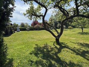Un espace extérieur verdoyant, avec des arbres et un bùtiment en arriÚre-plan.