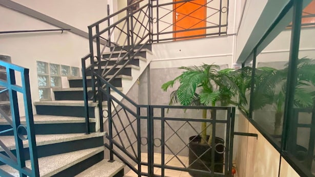 Una escalera con barandilla metálica, una planta en maceta y una puerta al fondo.