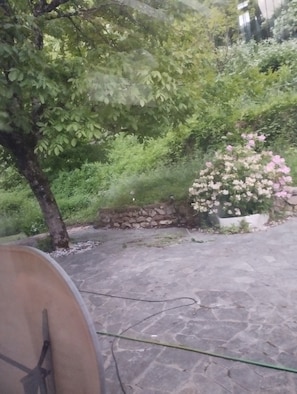 A stone patio with a satellite dish, a tree, and a bush with pink flowers.
