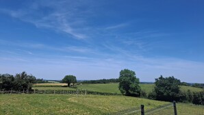 Ländliche Landschaft mit offenen Feldern, Bäumen und blauem Himmel.