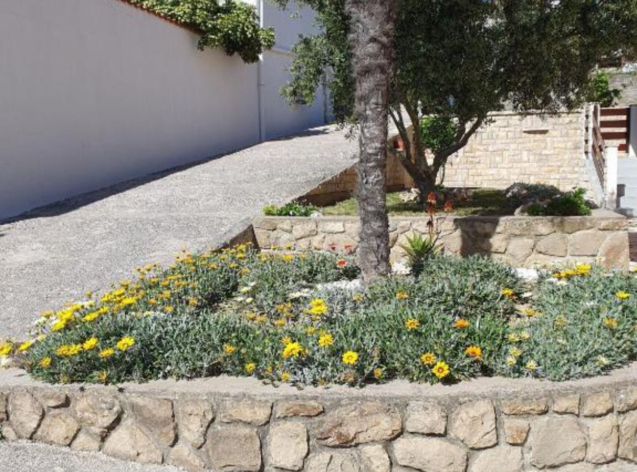 A courtyard with a stone wall, a tree, and yellow flowers.