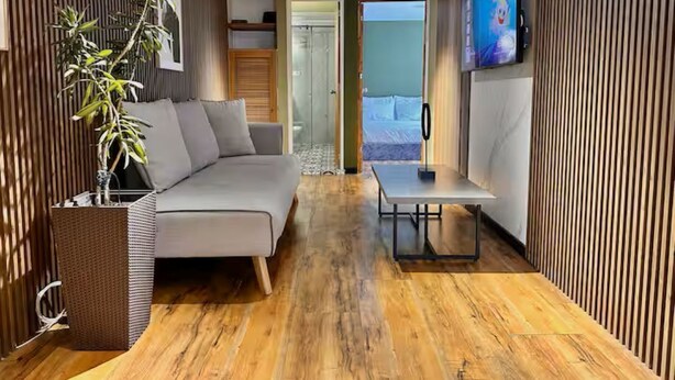 Una habitación moderna con sofá, una mesita, planta en maceta y televisor montado en la pared.