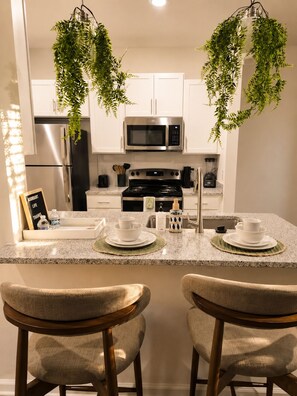 A modern kitchen with stainless steel appliances, a granite countertop, and hanging plants. - Modern Lakeview Oasis, King Bed • Gym • Pool (Jacksonville)