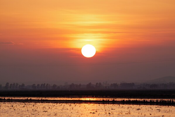 Um pôr do sol sobre uma paisagem plana com campos e uma linha de árvores ao longe.