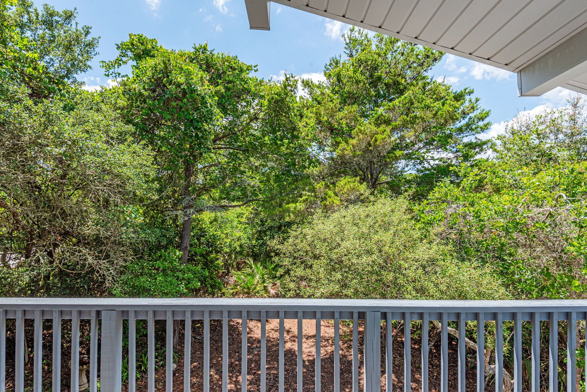 A wooden deck with a view of dense green foliage and trees.