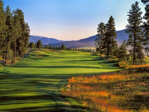 Un campo de golf con colinas verdes onduladas, árboles y montañas distantes.
