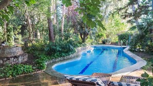 A swimming pool surrounded by lush greenery, with a stone wall and wooden lounge chairs.