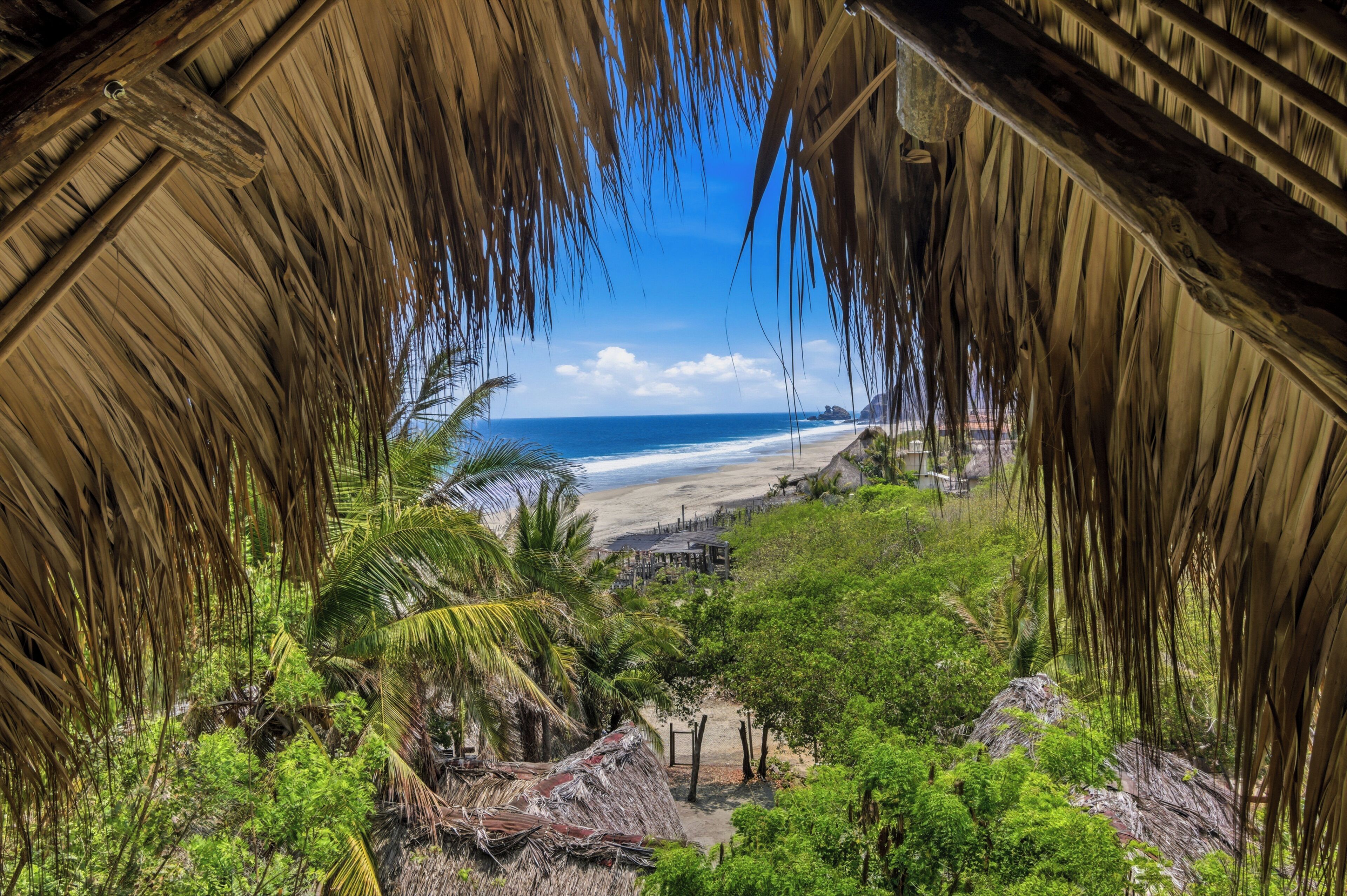 Vista a la playa a través de una estructura de paja, con palmeras y cielo despejado.