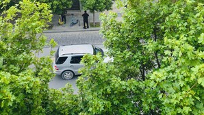 Un edificio con ampie finestre e una strada alberata.