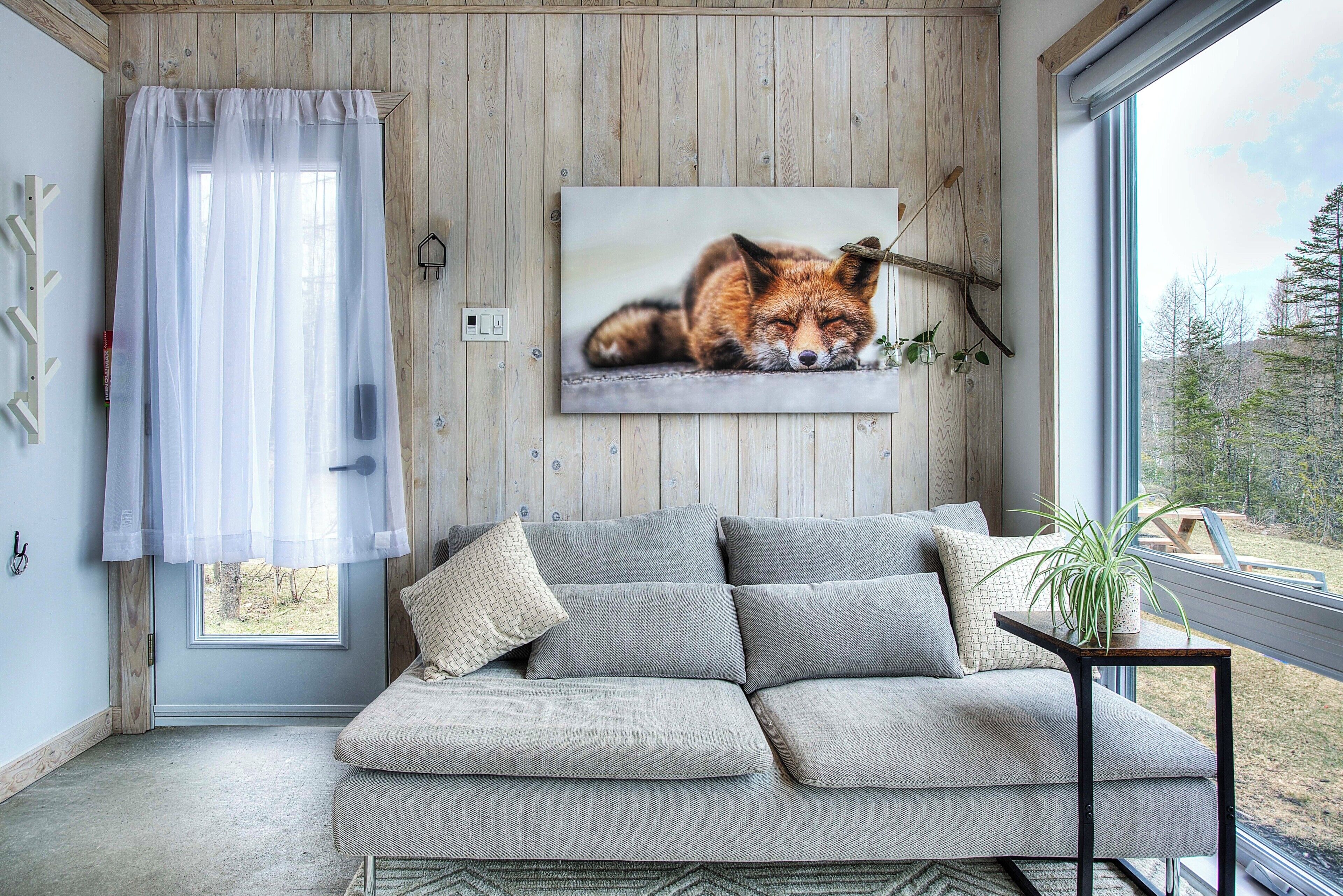 Une pièce chaleureuse avec un canapé gris, une fenêtre donnant sur des arbres et un tableau encadré représentant un renard accroché au mur.