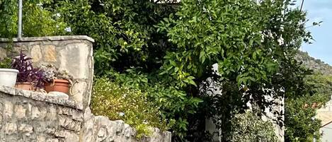 A stone wall with a metal gate, a covered balcony, and lush greenery.