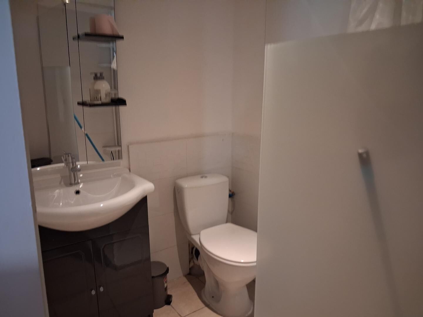 Een badkamer met een wastafel, toilet en spiegel.
