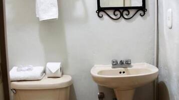 Regadera, toallas, papel de baño