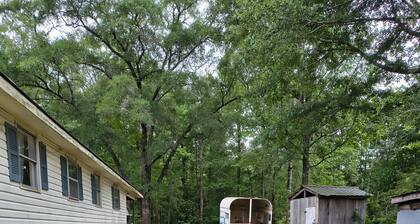 Lovely 2-bedroom house in quiet village, walking & biking. Come in and unplug!