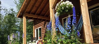 Beautiful, private  2-bedroom cabin only a few miles from downtown Talkeetna