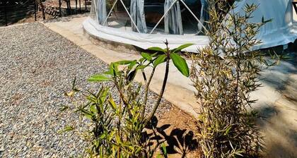Luxury Dome w/Jacuzzi and Projector Tiny Pines Glamping