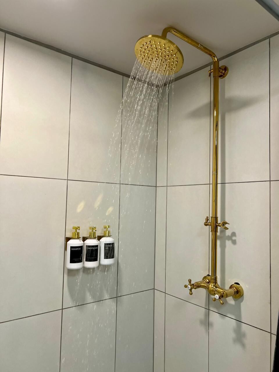 Secador de cabelo, toalhas de banho