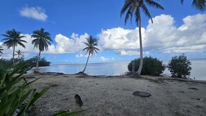 Una playa con palmeras, una orilla arenosa y un mar tranquilo bajo un cielo parcialmente nublado.