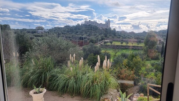 A view from a window overlooking a lush garden with tall grasses and a distant castle-like structure. - Trullo in panoramic position near Ostuni (Ostuni)