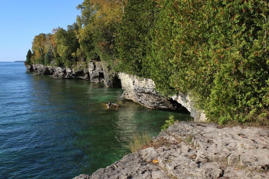 A rocky shoreline with clear water and dense foliage.