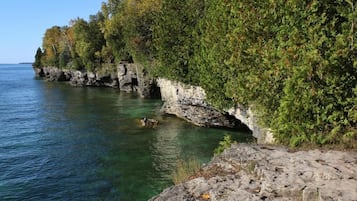 A rocky shoreline with clear water and dense foliage.
