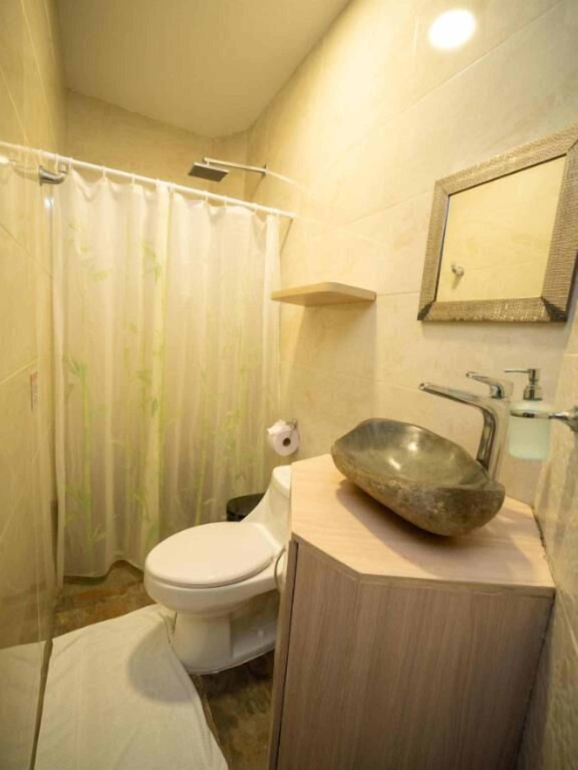 A bathroom with a toilet, a sink with a stone basin, a shower curtain, and a mirror on the wall.