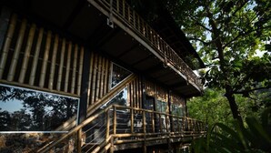 A wooden structure with a balcony, surrounded by trees.