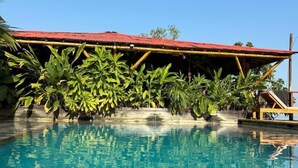 A swimming pool with a red-roofed structure, surrounded by tropical plants.