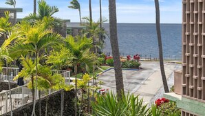 A resort with a view of the ocean, palm trees, and a paved walkway.