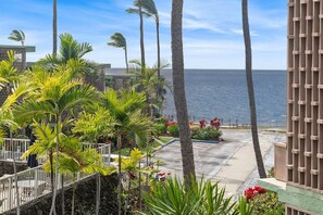 A resort with a view of the ocean, palm trees, and a paved walkway.