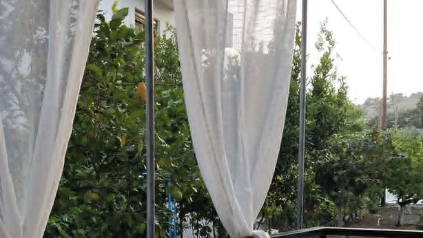 Un balcone con una pianta in vaso e una ciotola decorativa.