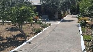 Un vialetto lastricato conduce a un edificio con un'antenna parabolica, circondato da diverse piante e alberi.