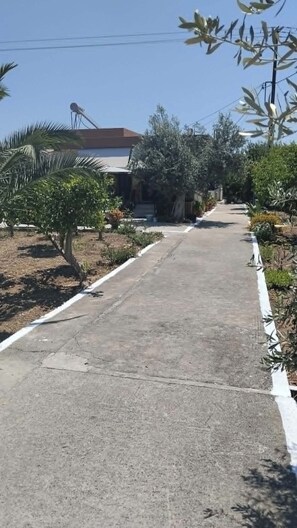 Ein gepflasterter Weg führt zu einem Gebäude mit Satellitenschüssel, umgeben von Pflanzen und Bäumen.