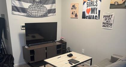 Bright apartment within walking distance of college World Series and downtown
