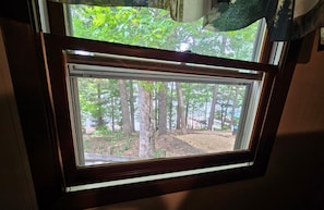 A window with a view of a forested area.