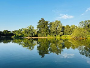 Ein ruhiger See mit dichtem Baumbestand, dessen Bäume sich im Wasser spiegeln.