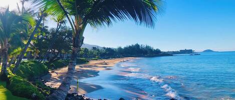 Beach nearby, sun loungers, beach towels