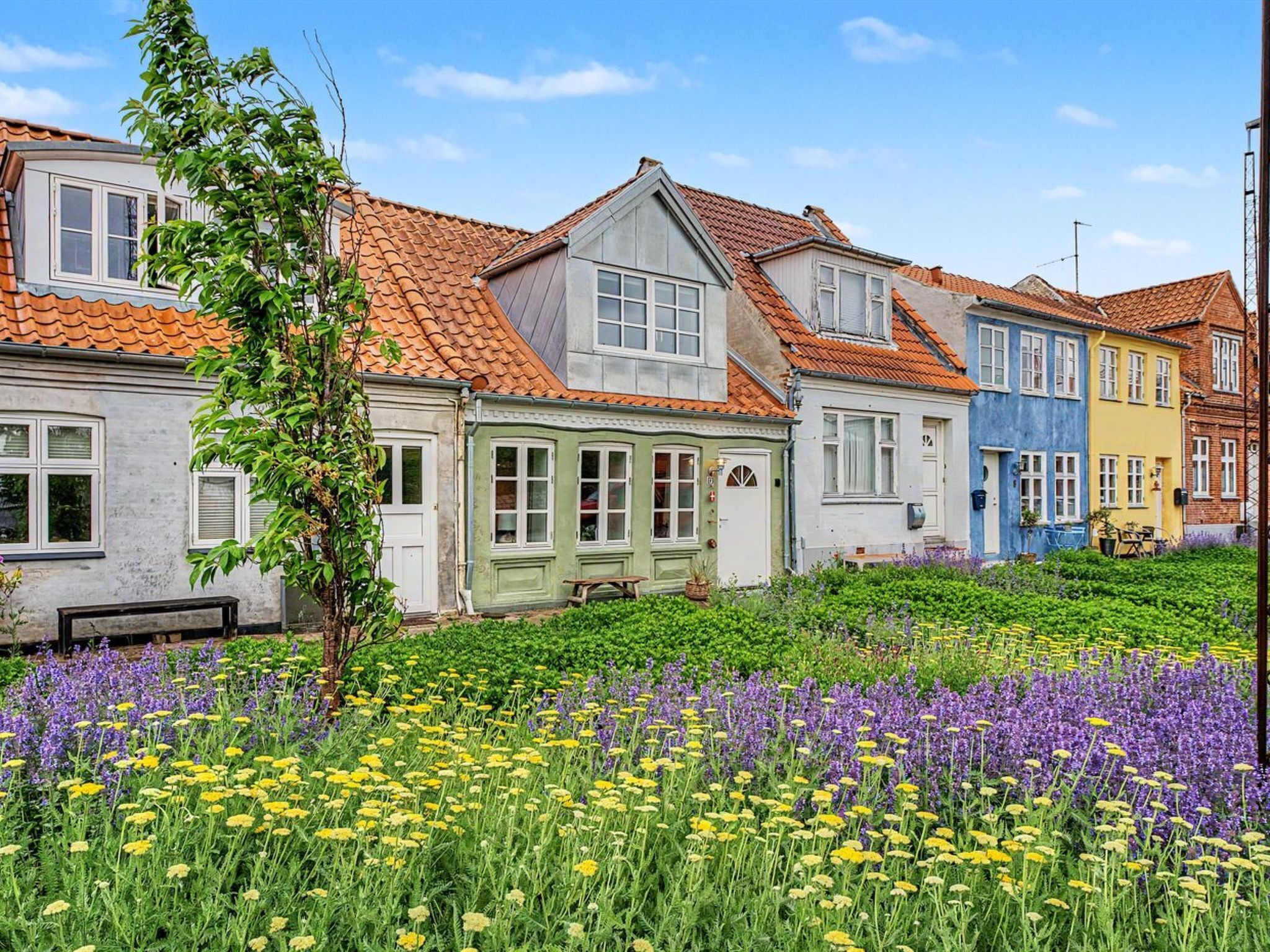 A row of colorful houses with a garden in the foreground.
