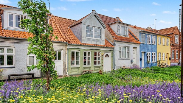 Uklassifisert bilde, 1 av 26, knapp
