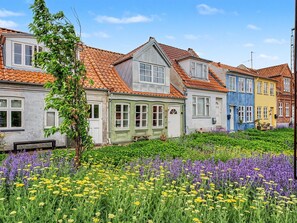 Eine Reihe bunter Häuser mit einem Garten im Vordergrund.