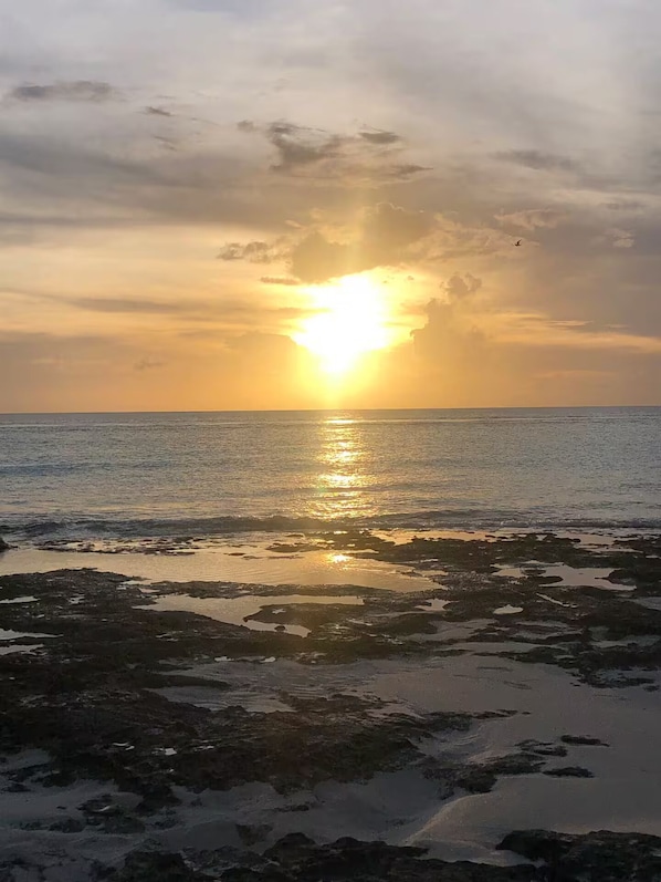 Un atardecer sobre una masa de agua con costa rocosa.