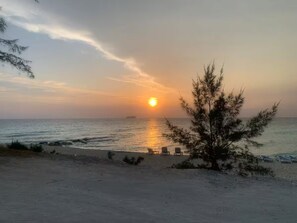 A beach scene with a sunset, a tree, and a few beach chairs.