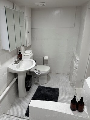 Regadera, secadora de cabello, bidet, toallas 