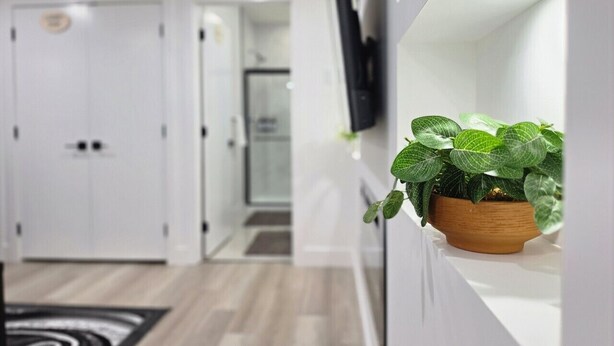 A modern hallway with a wooden floor, a potted plant, and a flat-screen TV mounted on the wall. - New 2-Bed Suite in SW Edmonton near Windermere & YEG Airport (Edmonton)