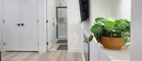 A modern hallway with a wooden floor, a potted plant, and a flat-screen TV mounted on the wall.