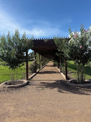 En grusgång leder fram till en pergola av trä, och på vardera sidan om gången finns ett område med grus.