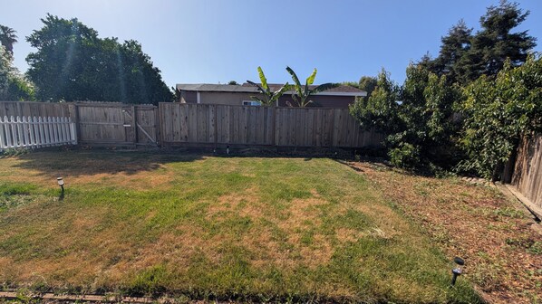A backyard with a wooden fence, a grassy lawn, and a tree.