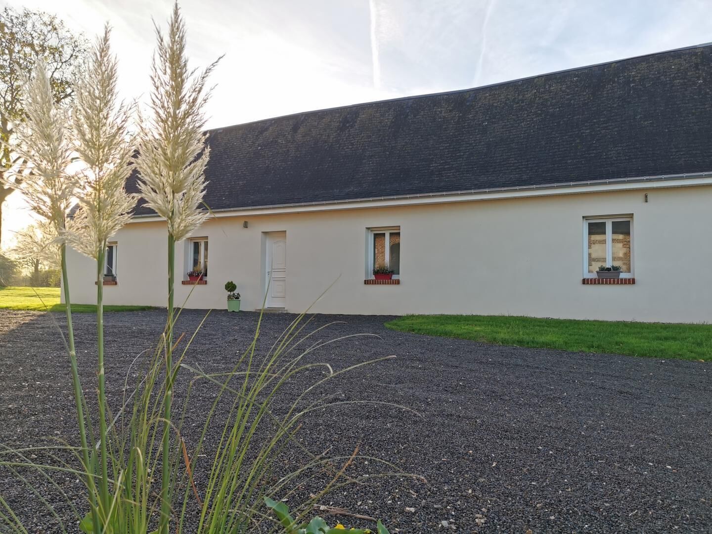 Eksteriør