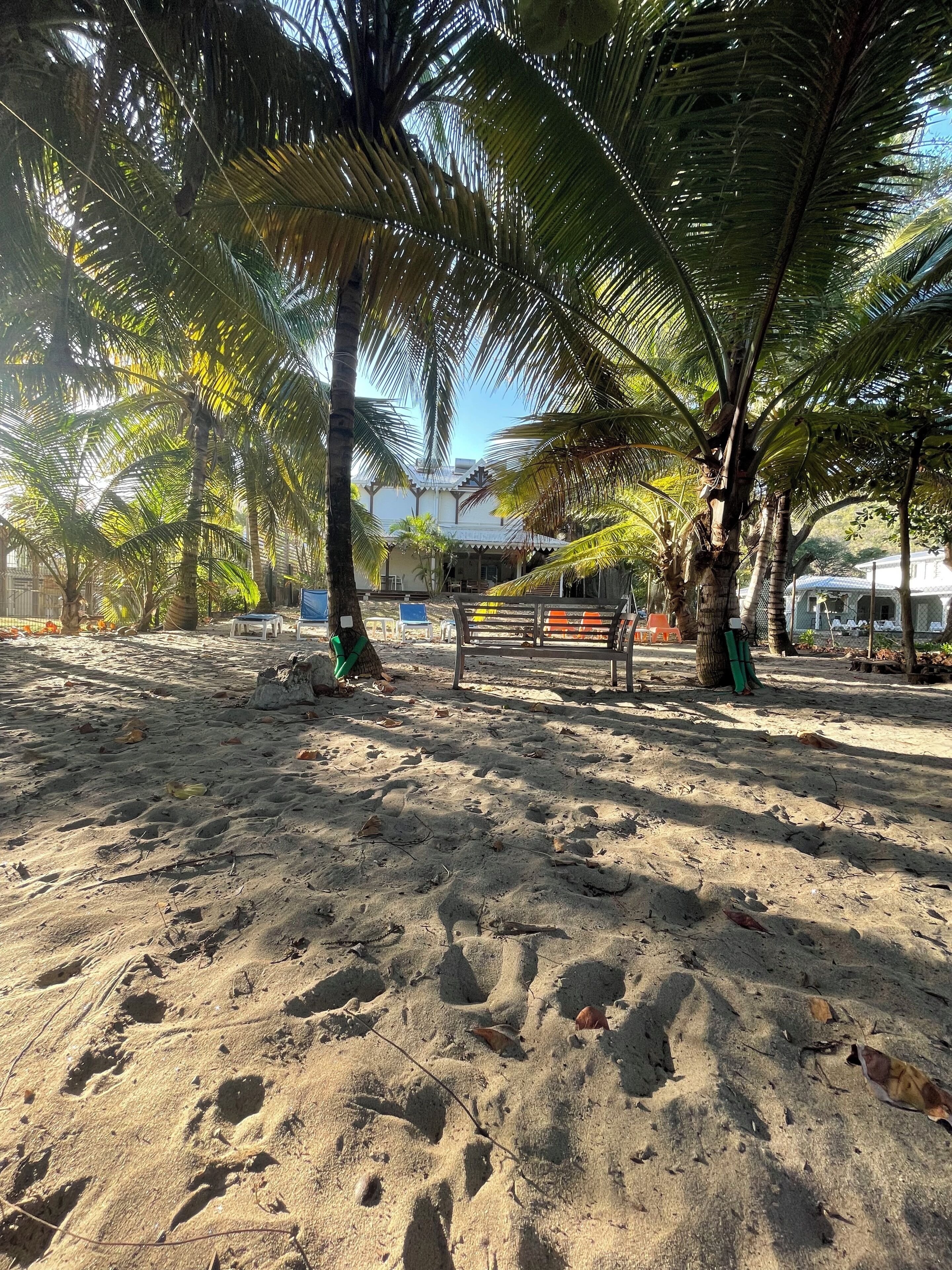 A sandy beach area with palm trees, a wooden bench, and a building in the background.